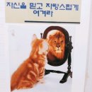 고기서고기 이미지