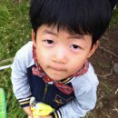 용심농장 이미지