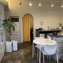 펫퍼스트 24시 강아지분양 고양이분양 이미지