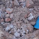 명광농장 이미지