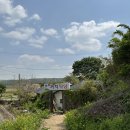 까치주유소 이미지