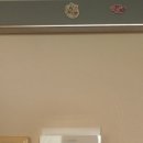 신내새한 이미지