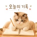 핑크젤리 | [메디큐브] PDRN 핑크 콜라겐 글로우 젤리 미스트 세럼 한교동 에디션 후기