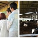양동축산 네이버블로그