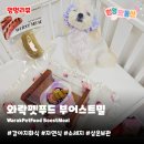 와락펫푸드 | 강아지화식 와락펫푸드 | 상온보관가능 소세지 부어스트밀 자연식 추천