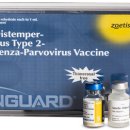 광화문동물병원 이미지