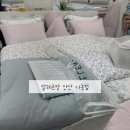 다농 | 알레르망 안산 다농점에서 구스차렵이불과 알러지케어 킹사이즈 침구세트 구매한 날 후기