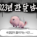 홀리트리