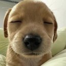이마트24 광명하안점 | 광명 구름산 주말 산행 후기