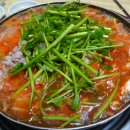 속초생태찌개