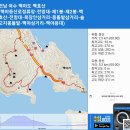 솔고지 이미지