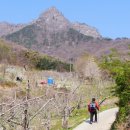 영산2리 이미지