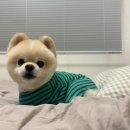 그루밍가든 이미지