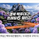 #6. 여행 , 구미 다온숲, 백두대간 챌린지(1) 후기