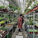 파주농장 이미지