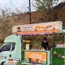 부산 강아지분양 디테일퍼피 이미지