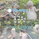 선인펜션 | 경주투어패스 동궁원 아기랑 가볼만한 곳