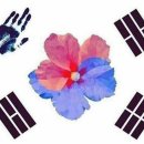 헤세드 태권도장 이미지