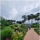 곡성-166 이미지