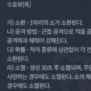왕부