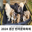 2024 경산반려문화축제 부스 체험 후기 경산 아이 가볼 만한 곳