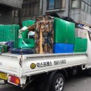 도봉-도봉-서울도봉-2368 이미지