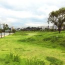 관광여행업 이미지