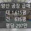 25시공인중개사사무소 이미지