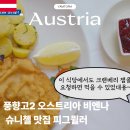 피그피아 네이버블로그
