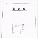 왕버들로 이미지