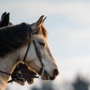 용당요양병원 이미지