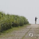 대통령공원 진돗개 이미지