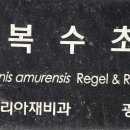 국립산림과학원홍릉수목원 Daum카페