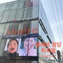 [압구정미용실]뮤에르청담 후기 임채아실장님 히피펌