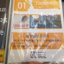 라이바VR카페 이미지