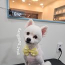 뚜뚜네 미용실 이미지