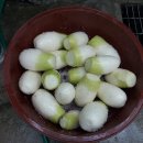 경희농원 이미지