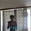 꿀벌뻥튀기 이미지