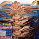해명수산 Daum카페