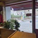 카츠정연 이미지