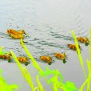 낙천농장 이미지