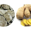 동하약국 이미지