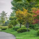 장자호수공원 이미지