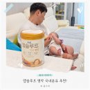 국내분유 추천 모유 성분 HMO 분유 앱솔루트 명작 갈아타기