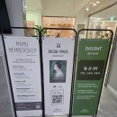 카페1885 | 마이아트뮤지엄 클림트와 리치오디의 기적 첫날 전시 후기(이지안 도슨트) &amp; 별마당도서관 크리스마스