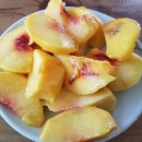 이형윤동물병원 | 9월의 마무리_동춘옥, 이형윤동물병원, 해달천한의원