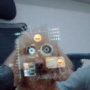 강아지 뷰티 이미지