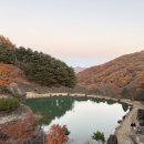 삼성궁 | 경남 하동 가을단풍명소 삼성궁 주말 방문 후기