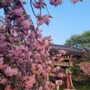 석성 옛 우체국 | 충남 가볼만한곳 1박 2일 서산 숙소 베니키아호텔 겹벚꽃 면천읍성 레트로거리