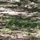 산촌영농조합법인 이미지